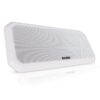 FUSION Sound Panel RV-FS402W sistema altoparlanti a montaggio superficiale 010-01790-00