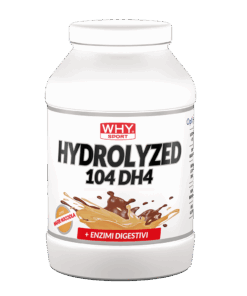 WHY SPORT HYDROLYZED 104 DH4 Proteine Isolate Idrolizzate 900g gusto Wafer Nocciola
