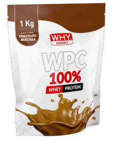 WHY SPORT WPC 100% Whey Proteine concentrate del latte 1kg gusto CIOCCOLATO NOCCIOLA